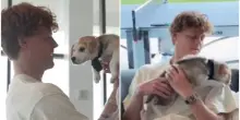 Sinner con un cane a Cincinnati: il campione in versione dog sitter per stemperare la tensione prima della semifinale