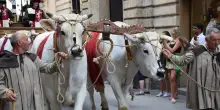 Sagre del weekend, i 6 appuntamenti da non perdere: dalla fiera del fico d'india al ?Palio della Sloiza