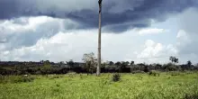 La deforestazione ha ucciso mezzo milione di persone negli ultimi 20 anni: la ricerca choc di Nature Climate Change