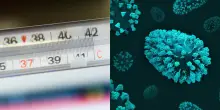 Influenza, boom di casi anche in Italia? I medici: «Dal 15% al 25% in più di malati rispetto allo scorso anno»