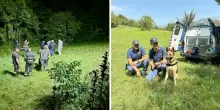 Cerca funghi e trova resti umani, forse appartengono a Elvio Delicata. Il corpo era nel "bosco degli orrori": scoperti altri due cadaveri