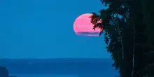 Luna di Sangue: il 7 settembre l?eclissi totale illumina il cielo d?Italia. Perché diventa rossa, dove si vede, la diretta streaming con gli esperti