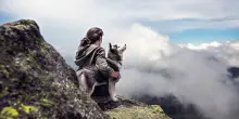 «Lasciate il cane a morire fuori, non è una persona»: bufera sul rifugio in Trentino che ha negato riparo all'anziano animale durante il temporale