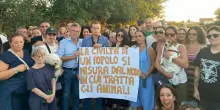 Varcaturo, protesta per il cane lasciato morire dai padroni partiti per le vacanze