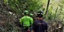 Assisi, muore schiacciato da una pianta nel bosco
