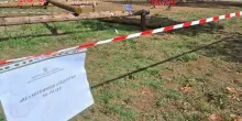 Vibo Valentia, morto il bimbo di 4 anni schiacciato da una trave in un parco: Francesco sottoposto a due operazioni, era in condizioni disperate