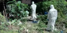Napoli, clochard ucciso sotto il ponte di via Andrea d'Isernia, arrestato ?senzatetto?