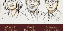 Premio Nobel per la Medicina a Brunkow, Ramsdell e Sakaguchi per la scoperta del meccanismo con cui il sistema immunitario reagisce alle infezioni