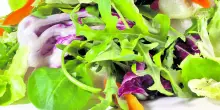 Dieta, l'insalata prima dei pasti fa dimagrire. Il nutrizionista: «Un'abitudine con numerosi vantaggi». Ma ci sono anche controindicazioni
