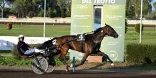 Capannelle, domenica 12 in programma il 98° Derby Italiano del Trotto, Oaks del Trotto e Premio Turilli