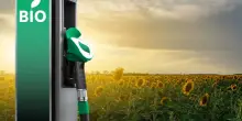 Emissioni auto, la sorpresa: con i biocarburanti +16% di CO2 rispetto ai combustibili fossili