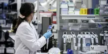 Farmaco anti obesità, perché la multinazionale danese ha sospeso la produzione