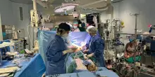 Trapianti di cuore, il Monaldi accelera: nel 2025 un incremento stimato del 50%