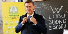 L?agroalimentare vale 707 miliardi: crescita trainata da Sud e innovazione