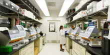 Tumori, scoperto nuovo farmaco "intelligente" che fa regredire malattia. «Attacca le cellule cancerose»