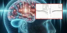 Il cervello raggiunge l'apice intorno ai sessant'anni, la rivoluzionaria scoperta dello studio australiano. Ecco perché