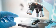 Rigidità dei tessuti e secrezione cellulare: scoperta chiave per fibrosi e tumori
