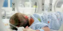 Italia senza figli, crollano le nascite e si diventa mamma sempre più tardi: tutti i dati