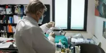 Vaccino russo contro il cancro, funziona? I risultati, le prime applicazioni e la sperimentazione in Serbia e