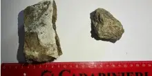 Pompei, furto all'interno degli Scavi: denunciato turista statunitense