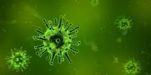 Influenza, epidemia "molto aggressiva" in arrivo. I consigli dei medici: dalla dieta a come vestirsi