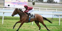 Allegri trionfa all?Ippodromo Capannelle: la sua Star Of Life vince nel Criterium Femminile