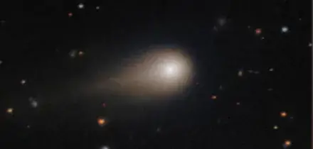 «La cometa 3I/Atlas? Potrebbe essere un'astronave aliena. Andate in vacanza entro il 29 ottobre, poi chissà cosa succederà»