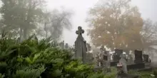 Va al cimitero e sprofonda (per alcuni metri) in una tomba: «Voleva portare i fiori ai suoi cari»