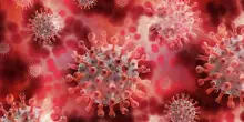 Influenza, primo bollettino: 427mila casi in 7 giorni. Ecco i quattro sinomi respiratori