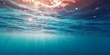 Oceani, aumenta la desertificazione a causa del cambiamento climatico
