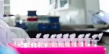 Tumori, nel Dna spazzatura molecole alleate: lo studio Italia-Usa