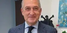 A Francesco Vaia premio alla solidarietà Padre Pio: "Lo dedico al coraggio degli italiani"