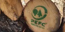 Pefc Italia, 71mila tonnellate di CO2 assorbita da foreste certificate