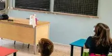 Scuola, Valditara: "Quasi 50% insegnanti di sostegno precari sarà confermato"