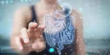 Microbiota fondamentale per il benessere, studio svela il perché