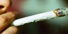 Cannabis, potenza in aumento: 5 cose da sapere su rischio psicosi
