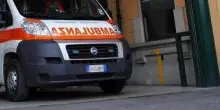 Pistoia, nonna e nipotina aggredite da tre pitbull: sono entrambe gravi