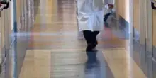 Roma, giornalista ricoverata in ospedale: "Vetri nella lasagna"