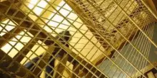 Allarme suicidi in carcere, Forza Italia apre a 'riforme'. Stop di Delmastro: "No a svuota-carceri"