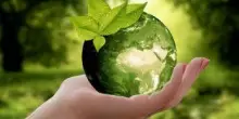 Storie di ambientalismo, al via Italia green film festival