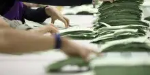 Elezioni in Australia, vincono i Laburisti del premier Albanese