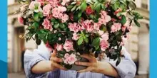 L'Azalea della ricerca Airc torna a sbocciare per la salute delle donne