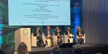 Edilizia, Ingersoll (LucidCatalyst): "Affiancare nucleare a rinnovabili aiuta a ridurre emissioni"