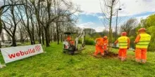 A Milano oltre 730 alberi messi a dimora nei parchi colpiti dal nubifragio del 2023