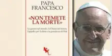 Papa Francesco, ecco la Chiesa che avrebbe voluto dopo di lui