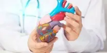 Insufficienza cardiaca, studio Anmco ha valutato risposta pazienti a 4 pilastri terapeutici