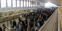 Sciopero nazionale treni, a Roma Termini cancellazioni e ritardi fino a 90 minuti