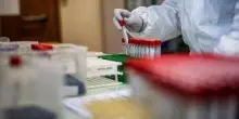 Covid Italia, aumentano i casi: oltre 2mila in ultima settimana