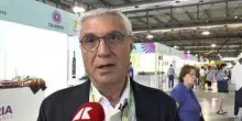 Artigiano in fiera, Intiglietta (Ge.Fi): "Dopo trent'anni lanciamo Anteprima d’Estate"