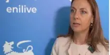 Sardellitti (FuelsEurope): "I biocarburanti sono già pronti e disponibili'